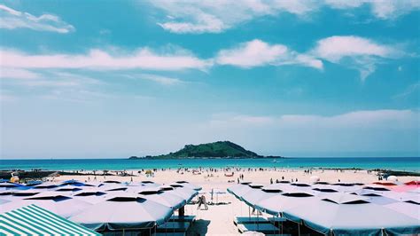 seoul to jeju flight price|Cheap Flights from Seoul to Jeju from $33 in 2024 .